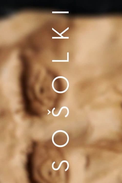 Sošolki (2015) poster