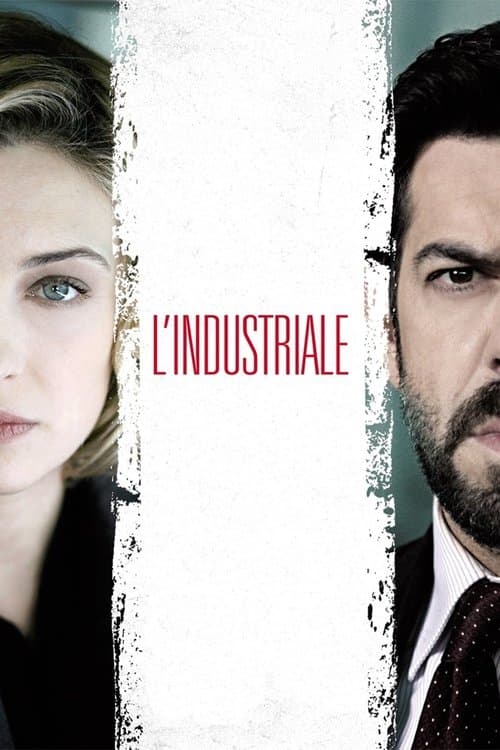 L'industriale (2011) poster