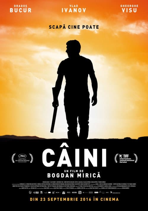 Câini (2016) poster
