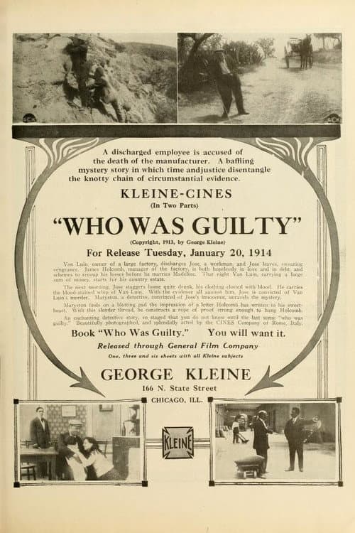 L'innocente (1913) poster