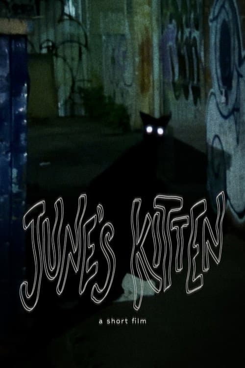 June's Kitten (2024) poster