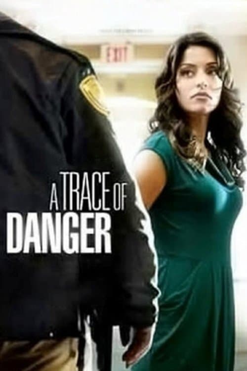 A Trace of Danger (2010) poster