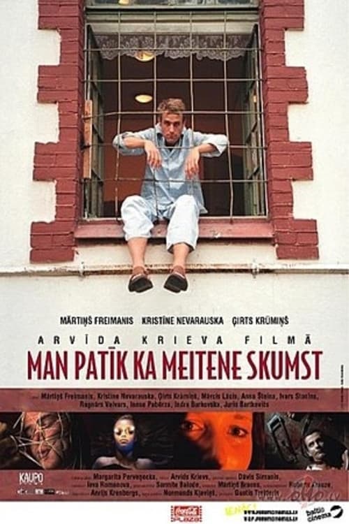 Man patīk, ka meitene skumst (2005) poster