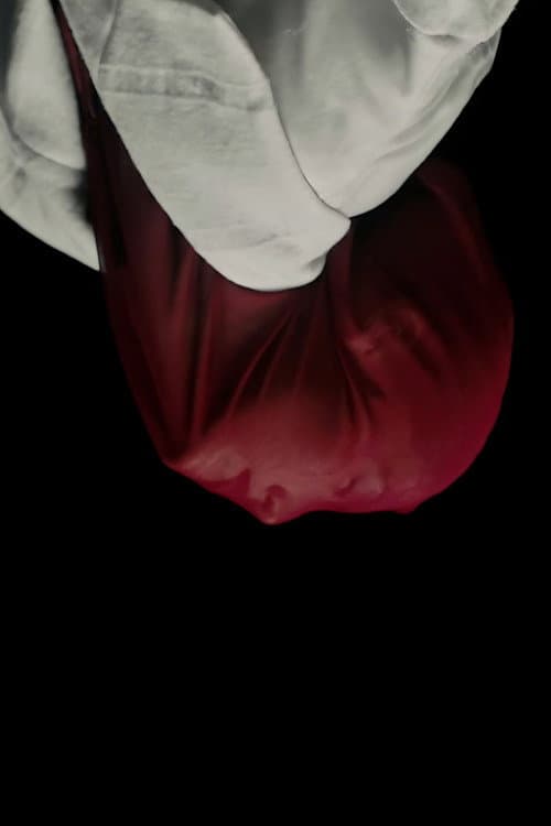 It Is Not Spring, Until All Flowers Blossom (2023) poster