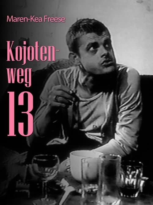 Kojotenweg 13 (1996) poster