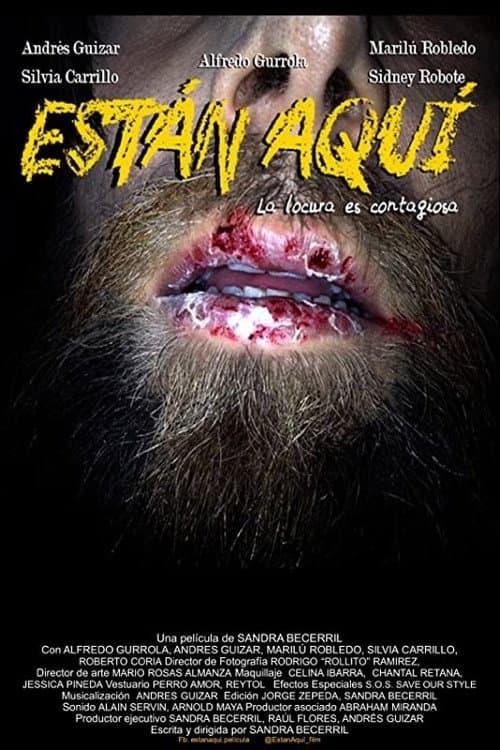 Están aquí (2014) poster