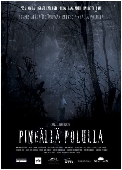 Pimeällä polulla (2014) poster