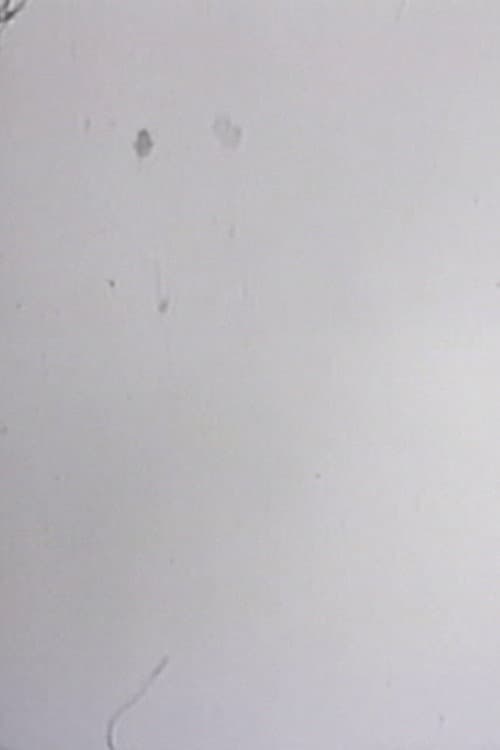 One Frame Duration (1977) poster