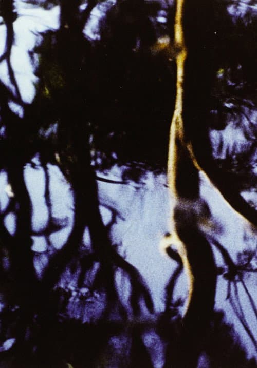 Corporeal (1983) poster