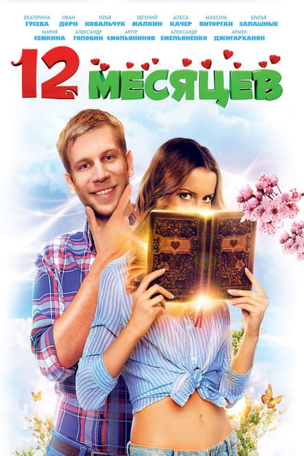 12 месяцев (2013) poster