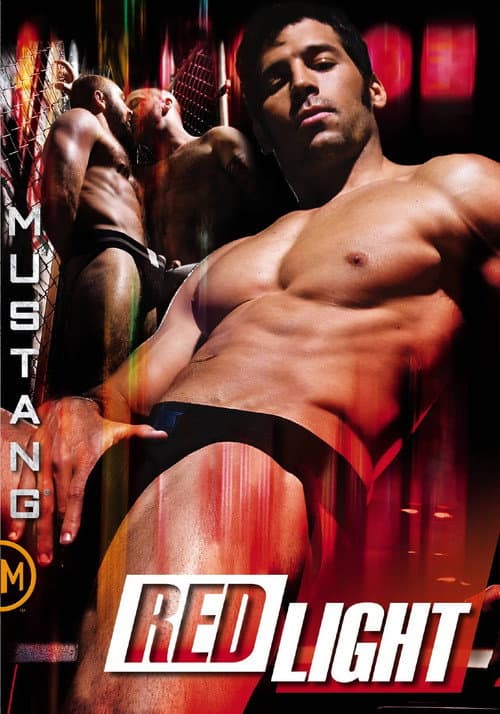 Red Light (2009) poster