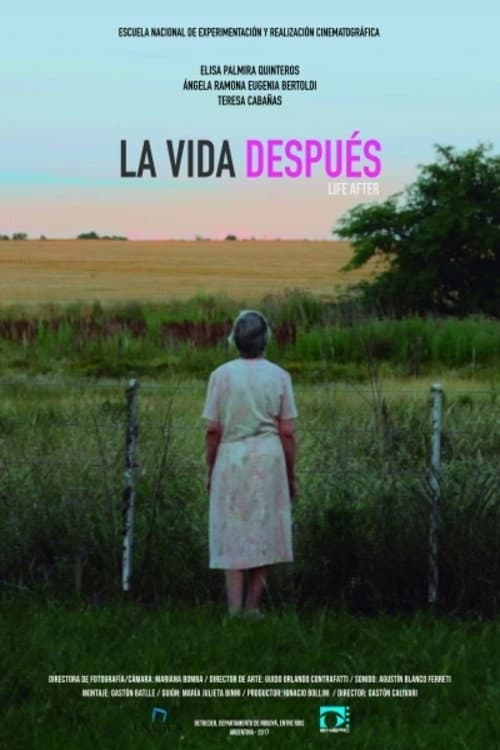 La Vida Después (2016) poster