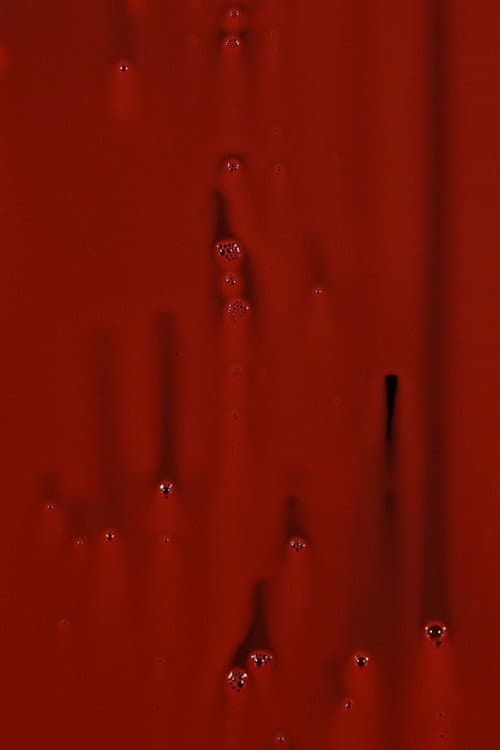 Pfauenloch (2018) poster