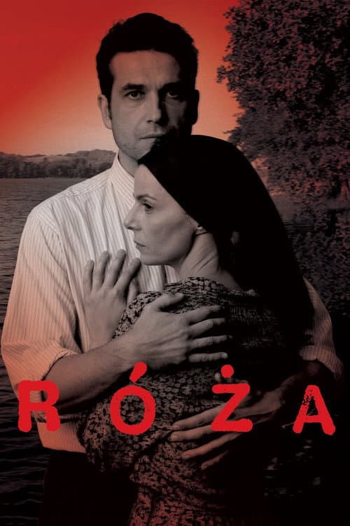 Róża (2012) poster