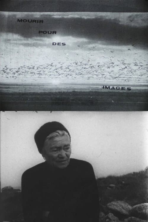 Mourir pour des images (1971) poster