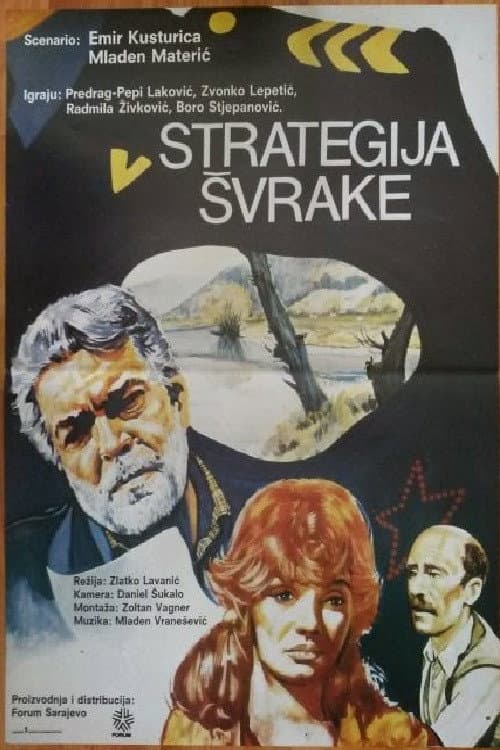 Strategija švrake (1987) poster