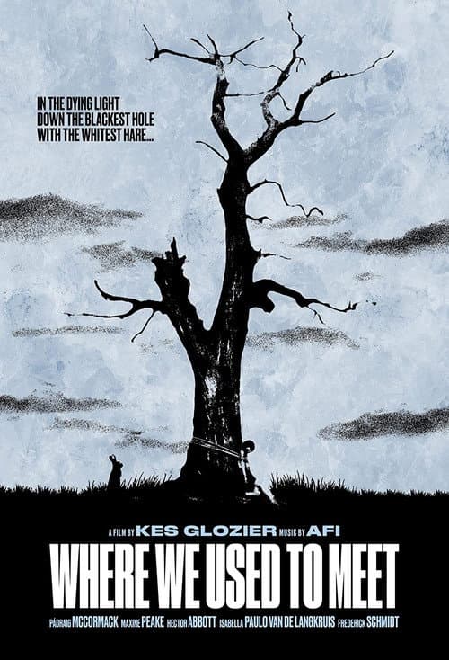 Where We Used to Meet (2021) poster