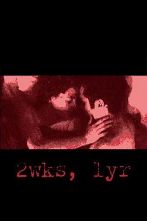 2wks, 1yr (2002) poster