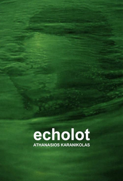 Echolot (2013) poster