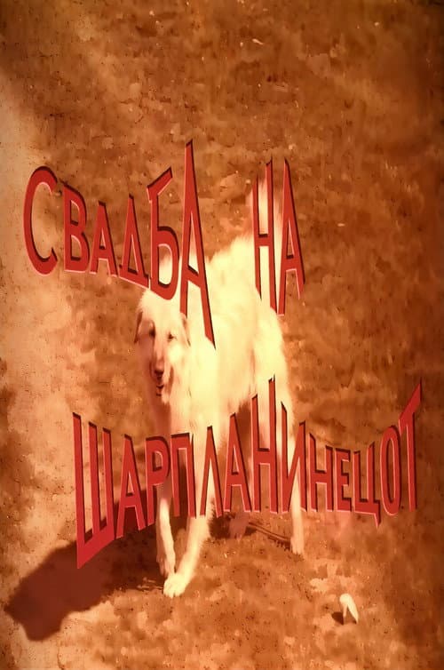 Свадба на Шарпланинецот (1970) poster