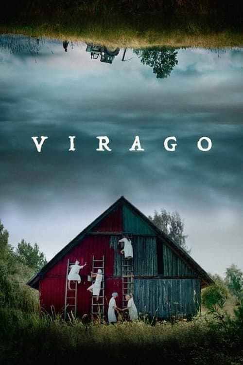 Virago (2019) poster