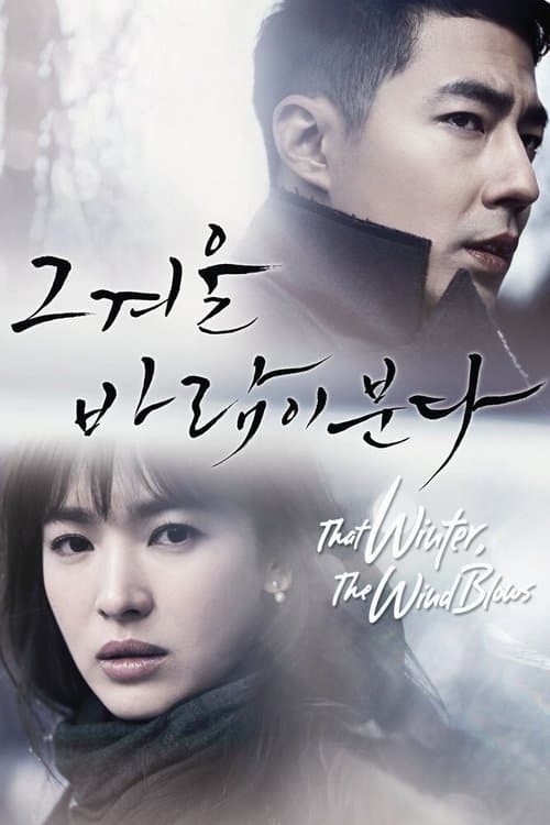 그 겨울, 바람이 분다 (2013) poster