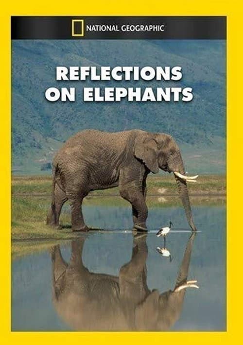 Reflections on Elephants (1994) poster