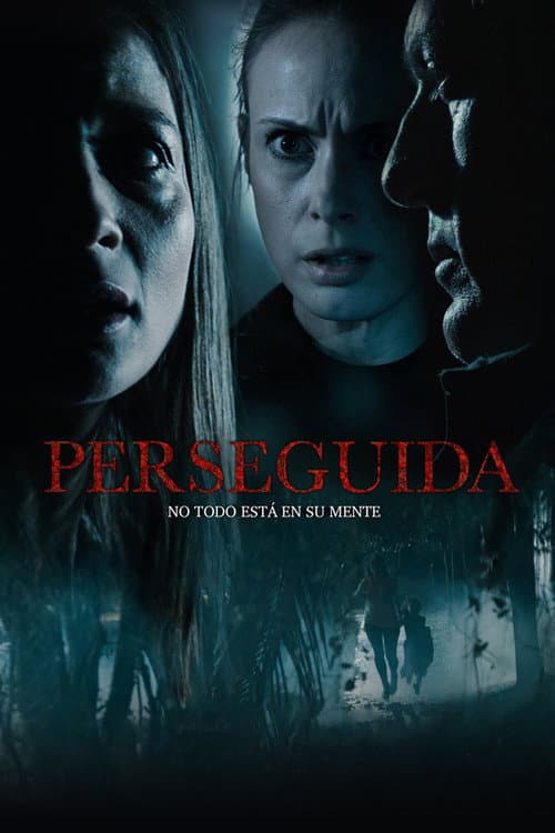 Perseguida (2020) poster