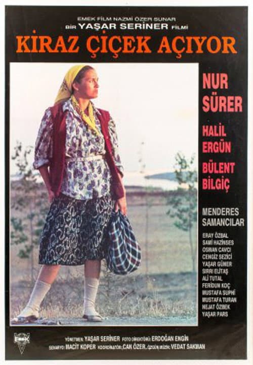 Kiraz Çiçek Açıyor (1990) poster
