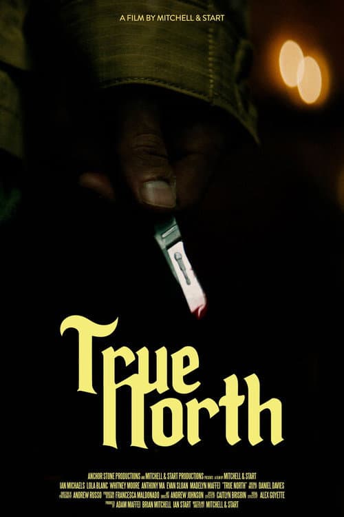 True North (2021) poster