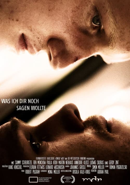 Was ich dir noch sagen wollte (2017) poster
