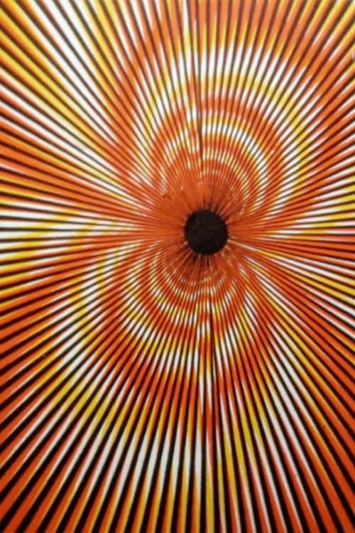 Sensitométrie II (1974) poster
