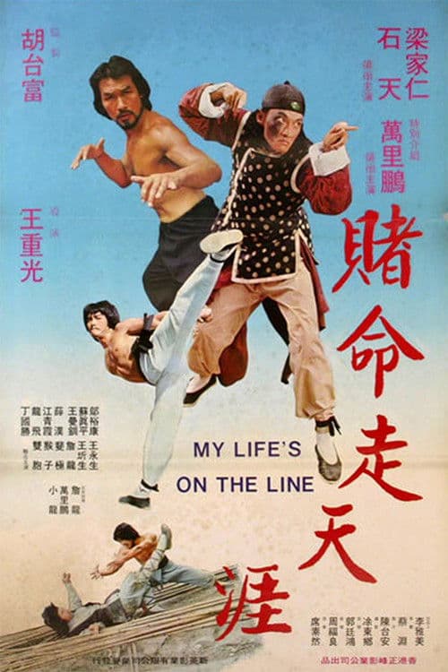 賭命走天涯 (1978) poster