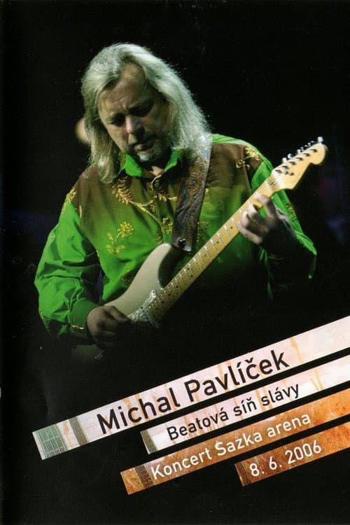 Michal Pavlíček: Beatová síň slávy (2006) poster