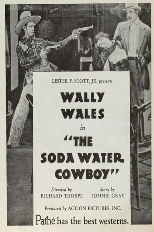 The Soda Water Cowboy (1927) poster