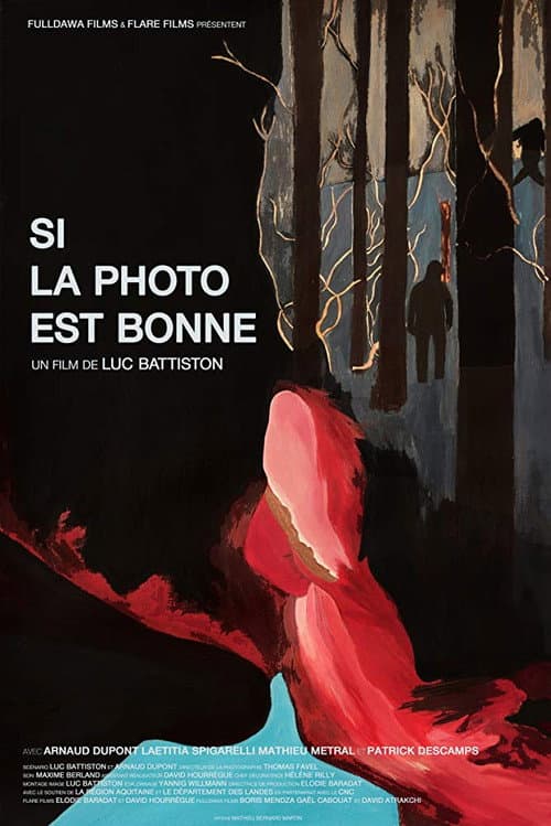 Si la photo est bonne (2015) poster