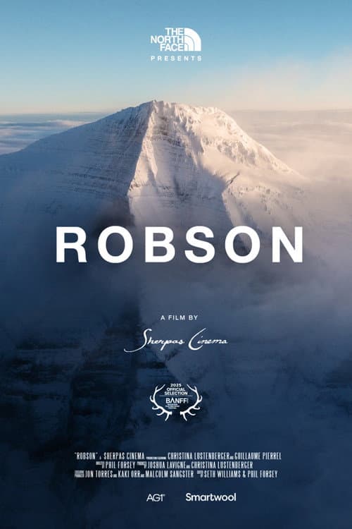 Robson (2025) poster