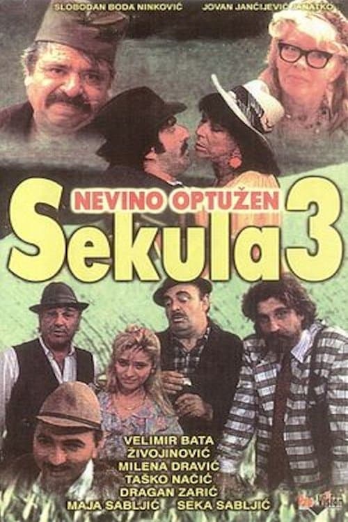 Sekula nevino optužen (1992) poster
