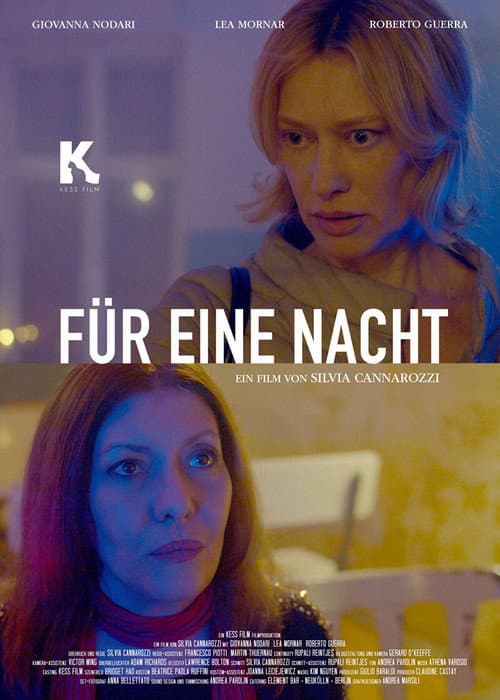 Für eine Nacht (2020) poster