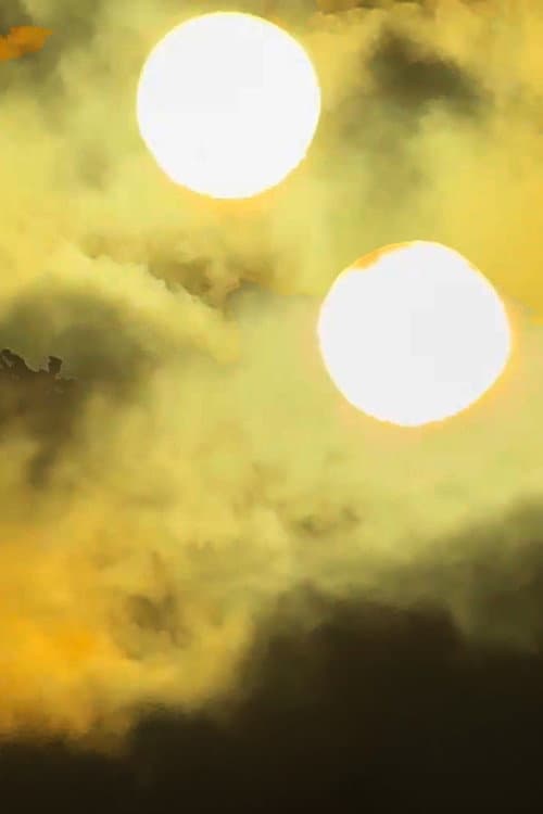 While The Sun's Eye Rules My Sight (2026) poster