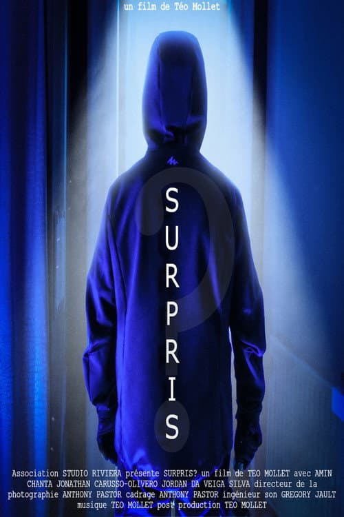 Surpris? (2024) poster