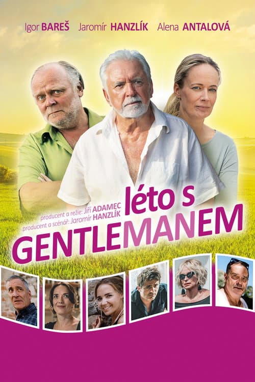 Léto s gentlemanem (2019) poster