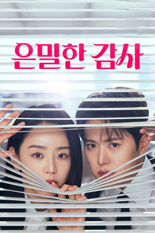 은밀한 감사 (2026) poster