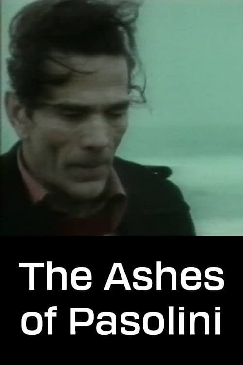 Le ceneri di Pasolini (1994) poster