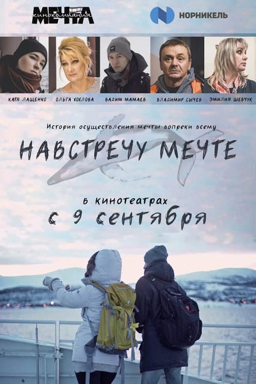 Навстречу мечте (2020) poster