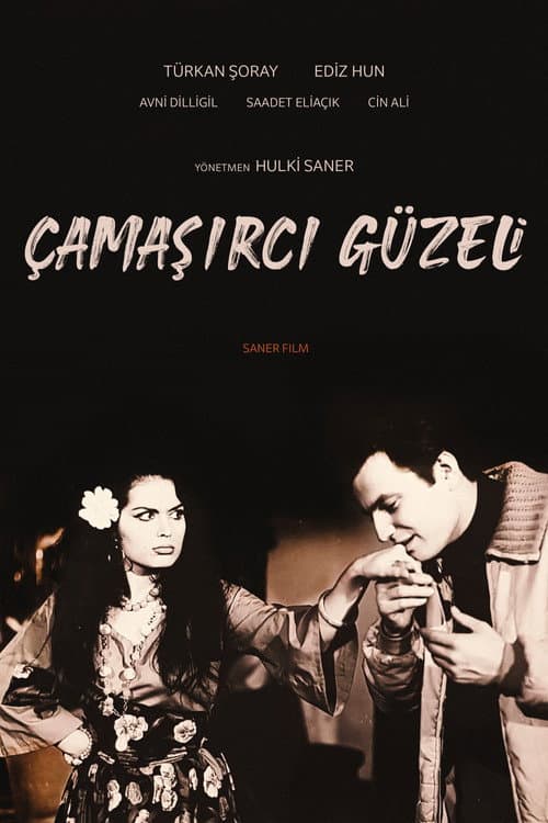 Çamaşırcı Güzeli (1966) poster