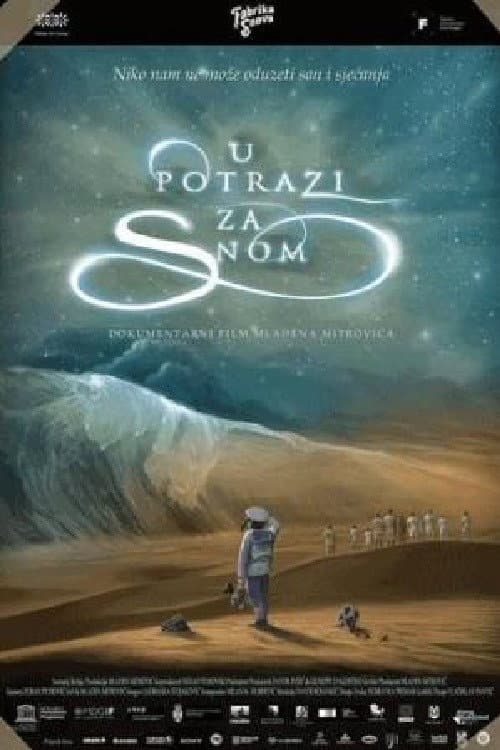 U potrazi za snom (2015) poster