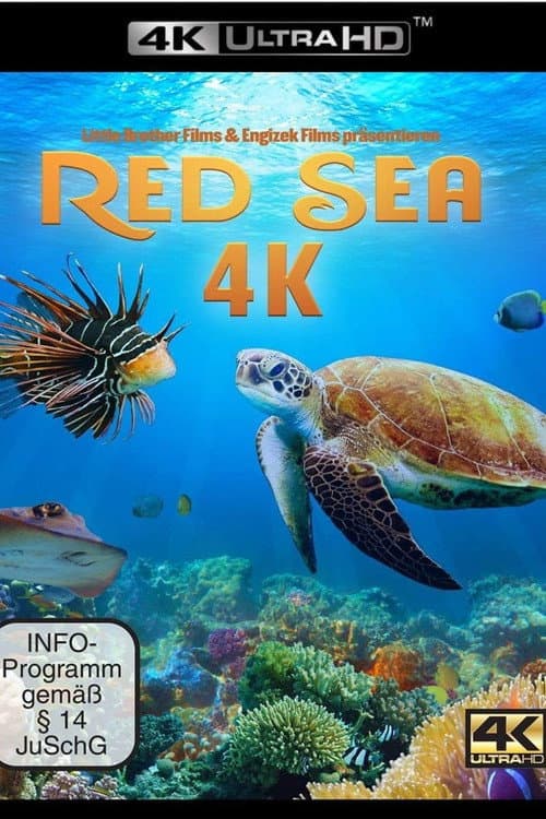 Red Sea (2016) poster