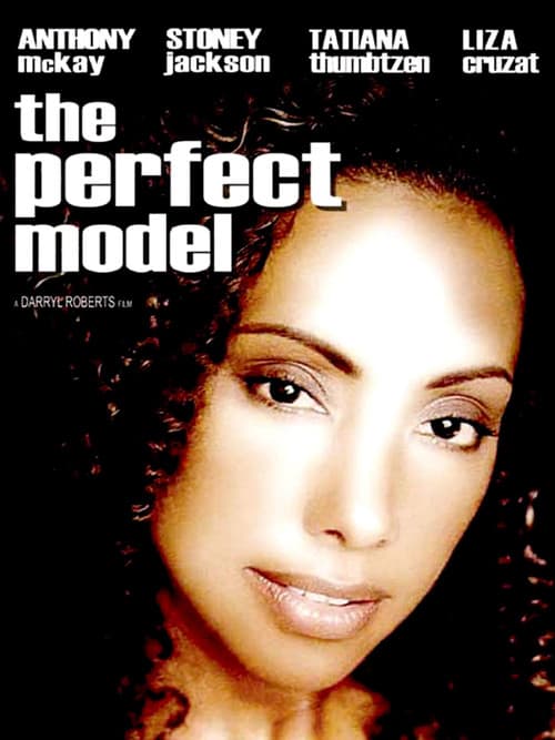 The Perfect Model (1989) poster
