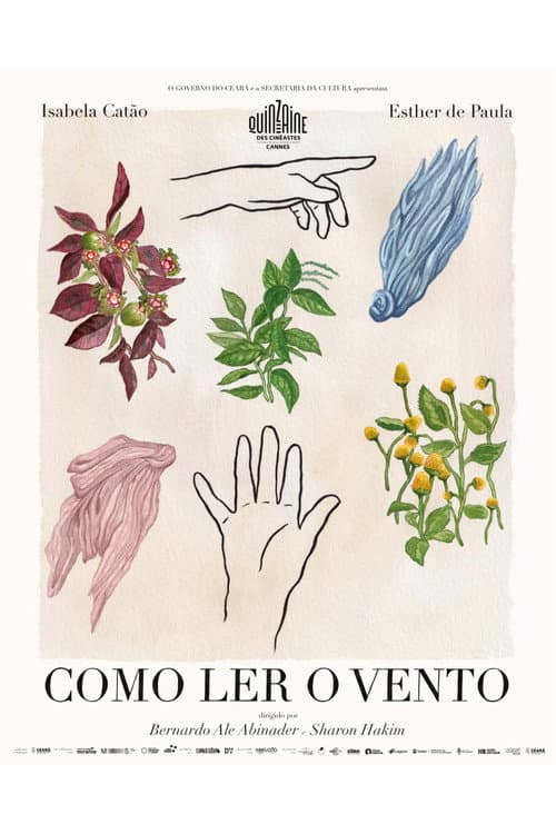 Como Ler o Vento (2025) poster